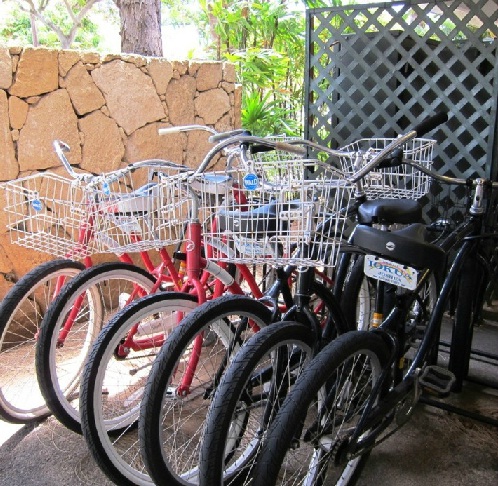 自転車のレンタル無料！/イメージ